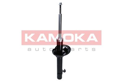 Shock Absorber 2000281