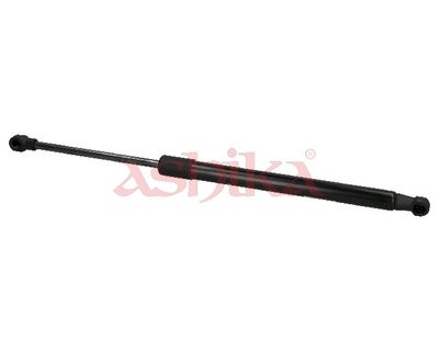 ZSA02020