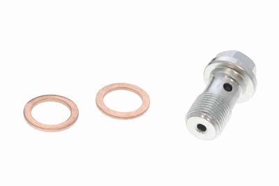 FURTUN FRANA VAICO V107680 2