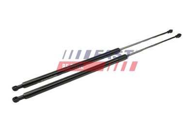 AMORTIZOR PORTBAGAJ FAST FT00185K 1