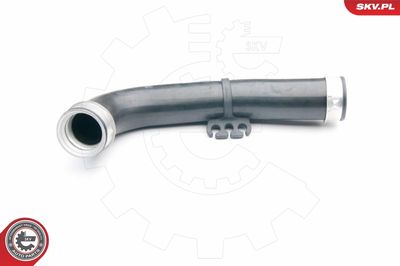 FURTUN EAR SUPRAALIMENTARE