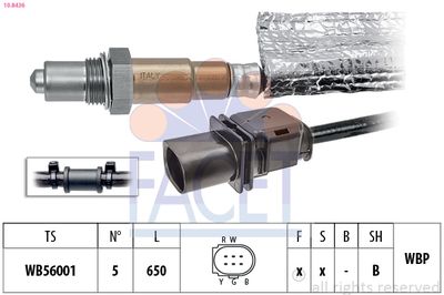SONDA LAMBDA FACET 108436