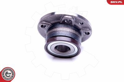 Wheel Bearing Kit 29SKV301