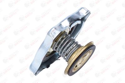 BUSON RADIATOR BIRTH 8088 4