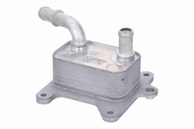 ÖLKüHLER MOTORöL VEMO V46600089 4