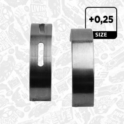 SET RULEMT ARBORE COTIT ET ENGINETEAM LH005125 1