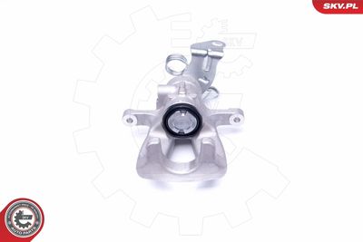 Brake Caliper 44SKV054