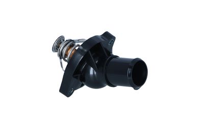 TERMOSTAT LICHID RACIRE NRF 725301 10