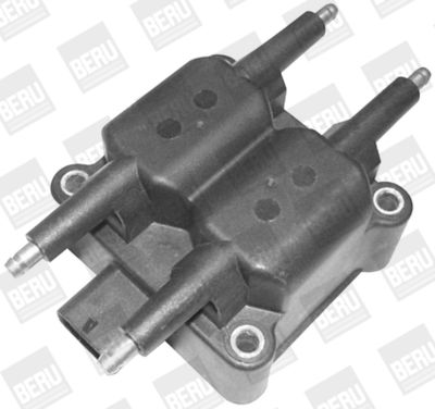 BorgWarner (BERU) Zündspule