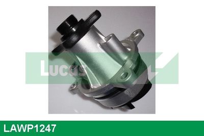 POMPă DE APă RăCIRE MOTOR