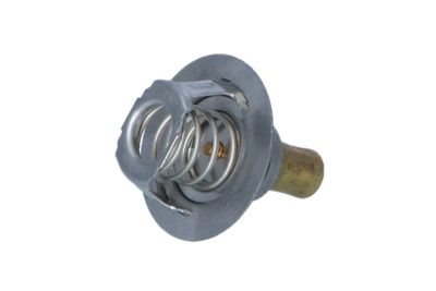 TERMOSTAT LICHID RACIRE NRF 725141 41
