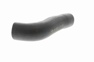 FURTUN EAR SUPRAALIMENTARE VAICO V201624 4