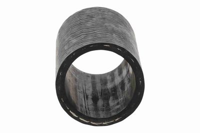 FURTUN EAR SUPRAALIMENTARE ACKOJA A389599 5