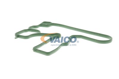 DICHTUNG KURBELGEHäUSEENTLüFTUNG VAICO V103884 16