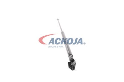 AMORTIZOR PORTBAGAJ ACKOJA A320092 48