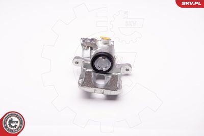 Brake Caliper 34SKV704