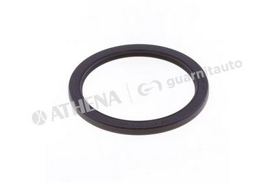 SIMERING ARBORE COTIT