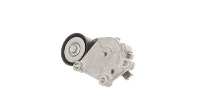 ROLA INTINZATOR CUREA TRANSMISIE SKF VKM33164 17