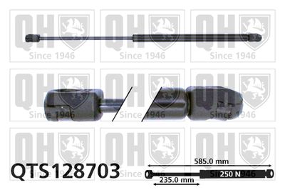 газов амортисьор, капак на двигателя QUINTON HAZELL QTS128703
