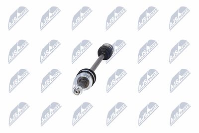 PLANETARA NTY NPWMS125 17