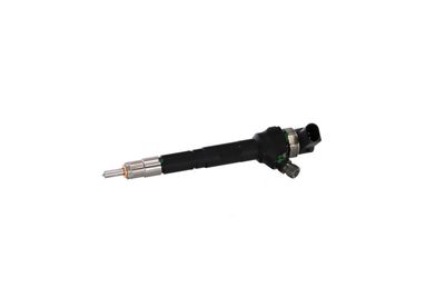 INJECTOR REMANTE 002003001751R 11