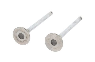 AUSLASSVENTIL CORTECO 551148B 1