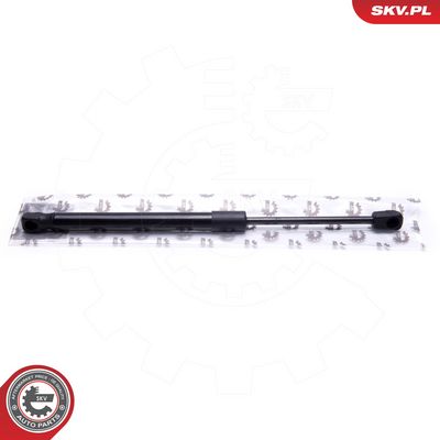 Dujinė spyruoklė, gaubtas