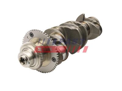 ARBORE COTIT FAST FT51701 1