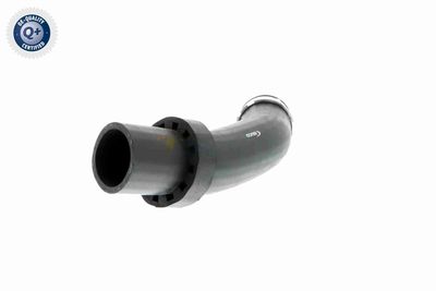 FURTUN EAR SUPRAALIMENTARE VAICO V201619 4