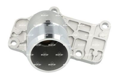 TERMOSTAT LICHID RACIRE NRF 725427 1