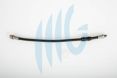 Тормозной шланг RICAMBIFLEX GM 02120222 для FIAT UNO