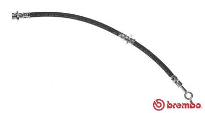 Brake Hose T 56 148