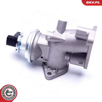 AGR - Ventil ESEN SKV 14SKV181