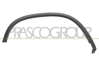ELEMENTE DECORATIVE/PROTECTIE ARIPA PRASCO VG8091583