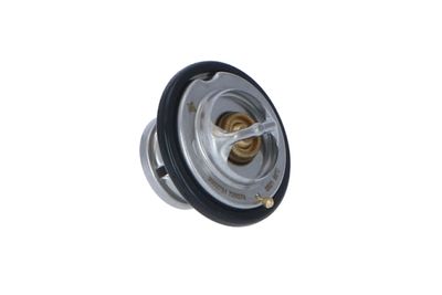 TERMOSTAT LICHID RACIRE NRF 725074 41