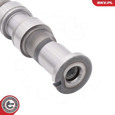 AX CU CAME ESEN SKV 80SKV034 2
