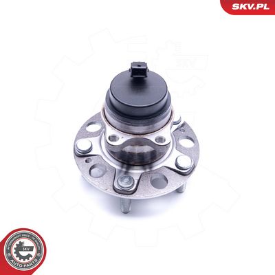 Rato guolio komplektas