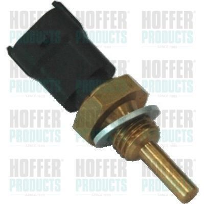 SENZOR TEMPERATURA LICHID DE RACIRE