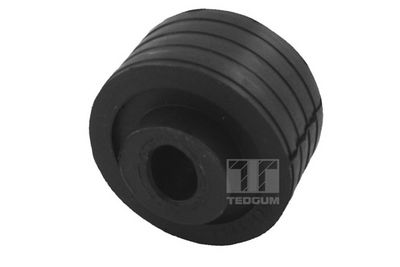 TEDGUM Lagerung, Differential