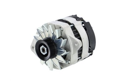 GENERATOR / ALTERNATOR REMANTE 011003000081R 8