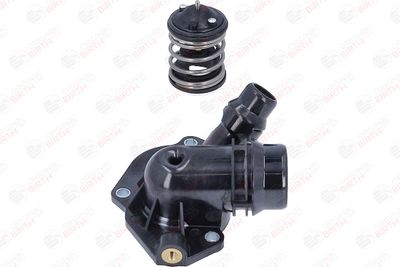 FLANSA LICHID RACIRE BIRTH 81103 10