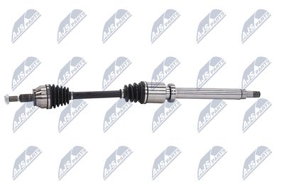 PLANETARA NTY NPWFR046 23