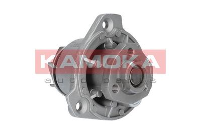 Water Pump, engine cooling T0256
