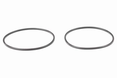 SISTEM ALIMENTARE CU COMBUSTIBIL VEMO V20090447 2