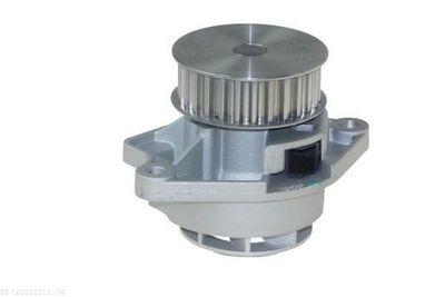 POMPă DE APă RăCIRE MOTOR AUTOMEGA 160009010