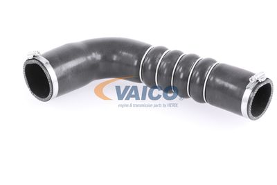 FURTUN EAR SUPRAALIMENTARE VAICO V103794 16