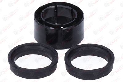 BUCSA ARBORE DE DIRECTIE BIRTH 4142 1