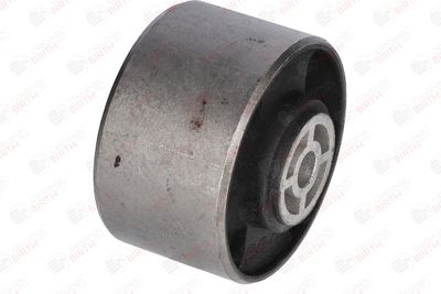 SUPORT MOTOR BIRTH 5608 11