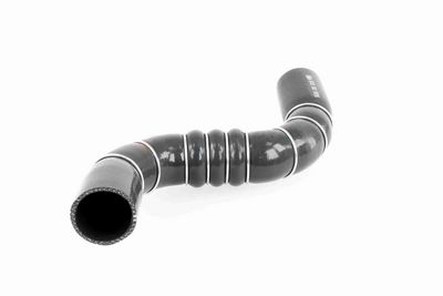 FURTUN EAR SUPRAALIMENTARE ACKOJA A389602 4