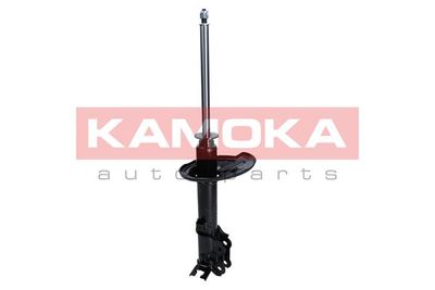 Shock Absorber 2000126